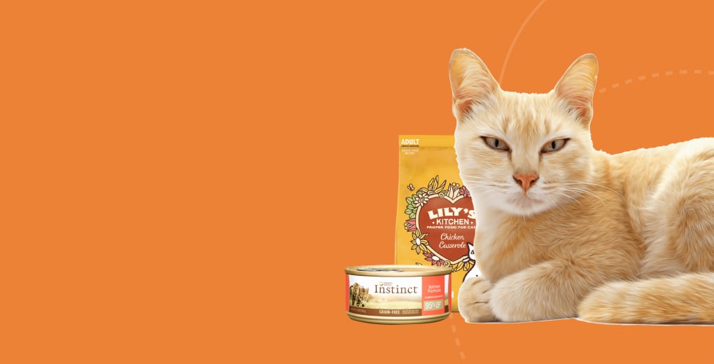 to Pet Palace Petpalace.uk