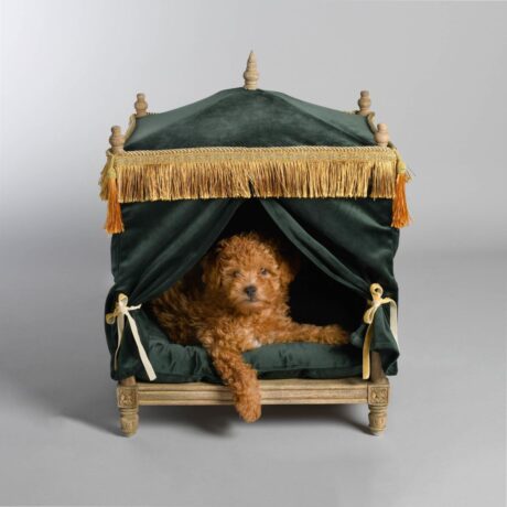 Edward | Green Velvet Palace