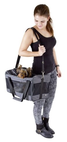 Dog Carrier