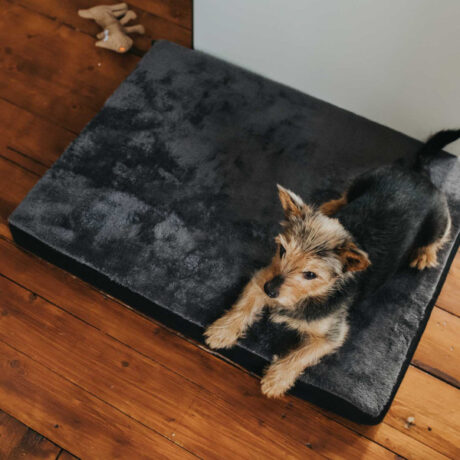 Mat Dog Orthopedic Tirano 120x70cm (Black)