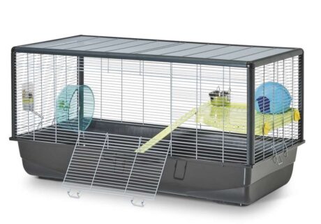 Hamster Plaza