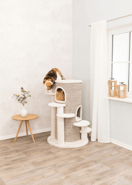 The Maine Coon Oskar Barrel