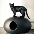 POOPOOPEEDO cat litter box (Black)