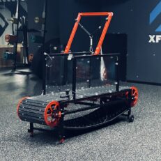 Firepaw Phoenix Dog Treadmill GEN 10