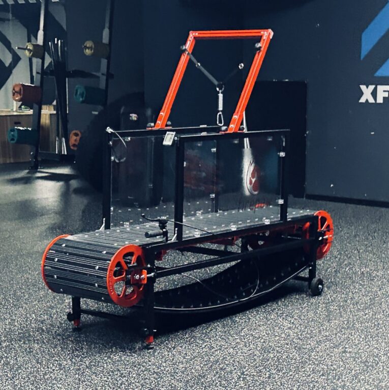Firepaw Phoenix Dog Treadmill GEN 10
