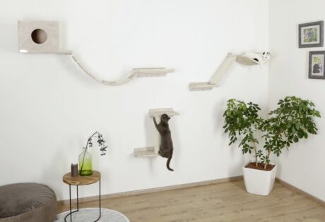 The Everest Wall Mounted Cat Kit
