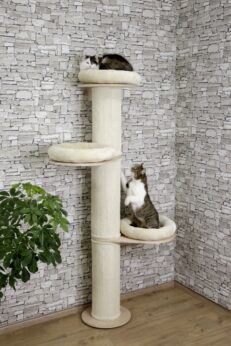 8163820 231x346 - Cat Tree Dolomit Tower
