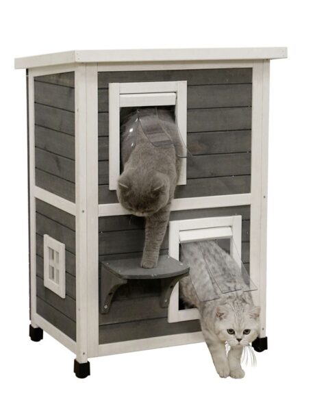 Family Cat House