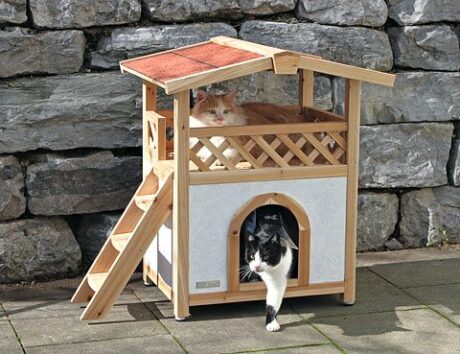 The Cat House Tyrol Alpine