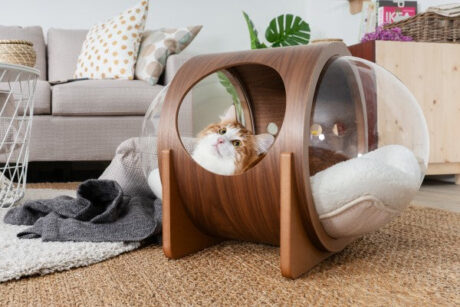 The Spaceship Alpha (Walnut)