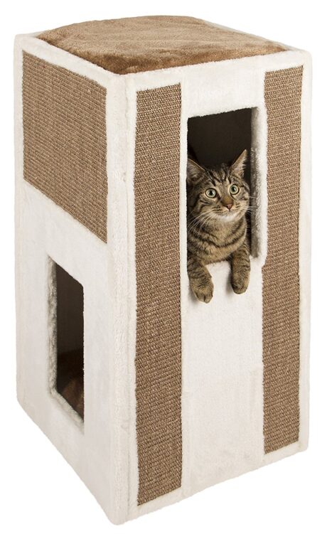 Galina Scratching Barrel