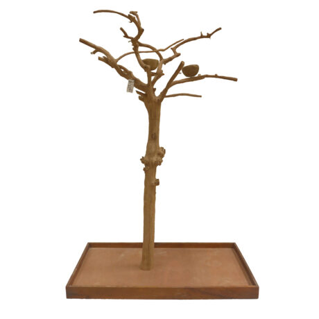 Java Tree Large from Coffee wood Hardwood – Parrot Playstand – Unicum AS1147