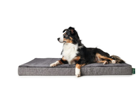 Mat Dog Orthopedic Tirano 120x70cm (Grey)