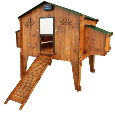 Chicken coop Polly Duplex 4 XL