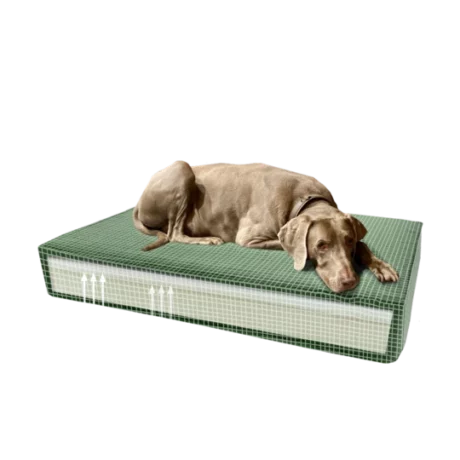 Madison Orthopedic cushion Velvet green S