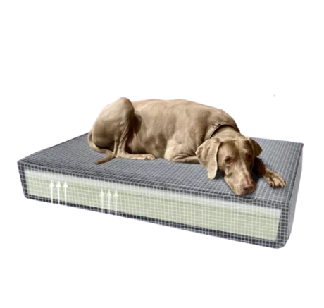 Madison Orthopedic cushion Velvet Grey (S)