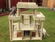 Outdoor Cat Trees