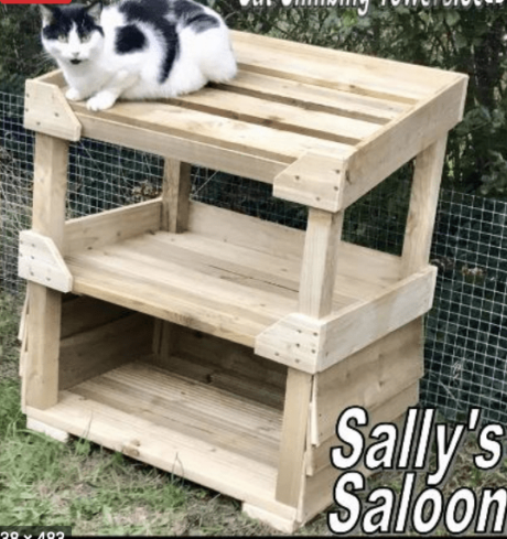 Sally Saloon