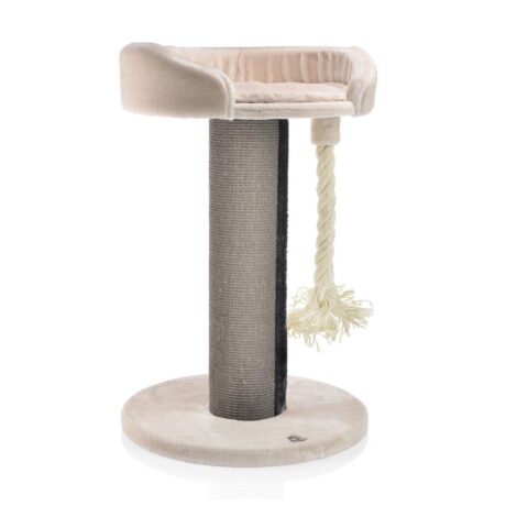 The Ontario Cat Lounge (Cream)