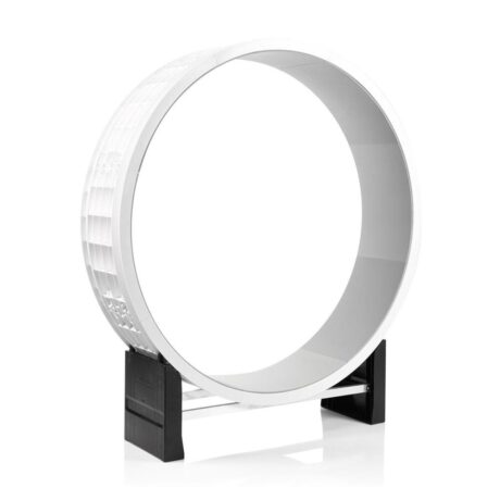 Cat In Motion Wheel (Black & White)
