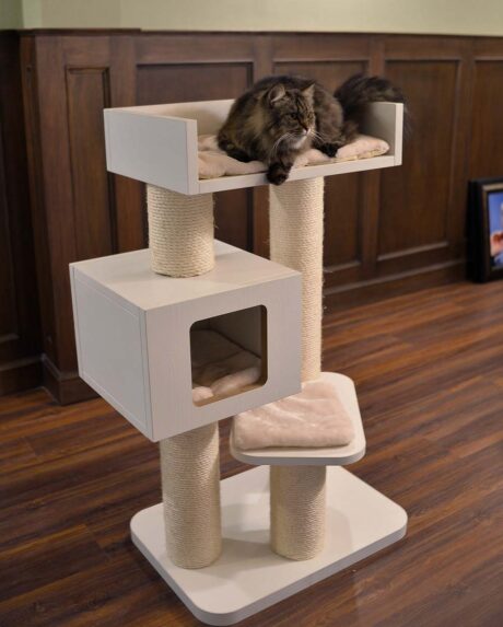 The Devon De Luxe (Cream)