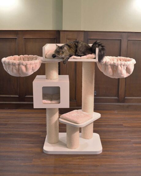 The Devon De Luxe PLUS (Cream)