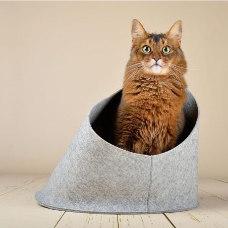 The Hoodie Cat Bed