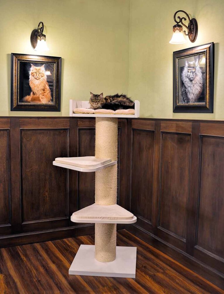 The Royal Coon Cat Tree (Cream)