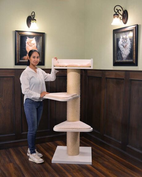 The Royal Coon Cat Tree (Cream)