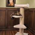 The Royal Coon Cat Tree (Cream)