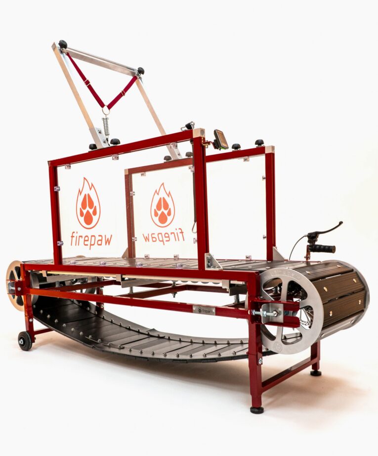 Firepaw Phoenix Dog Treadmill GEN 10