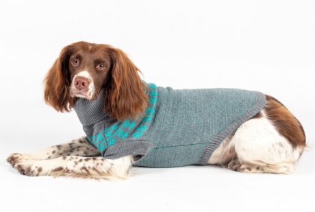 The Rascal Cableknit DogJumper SD1 (Bailey-Grey-05)