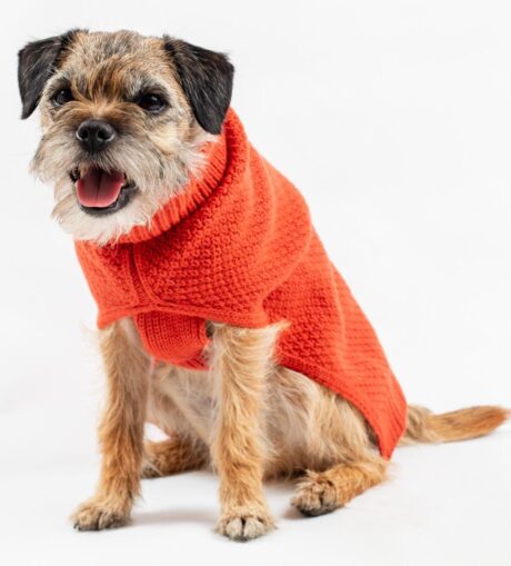 The Rascal Cableknit DogJumper SD1 (Burnt Orange)