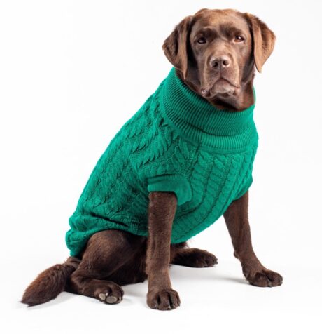 The Rascal Cableknit DogJumper SD1 (Green)