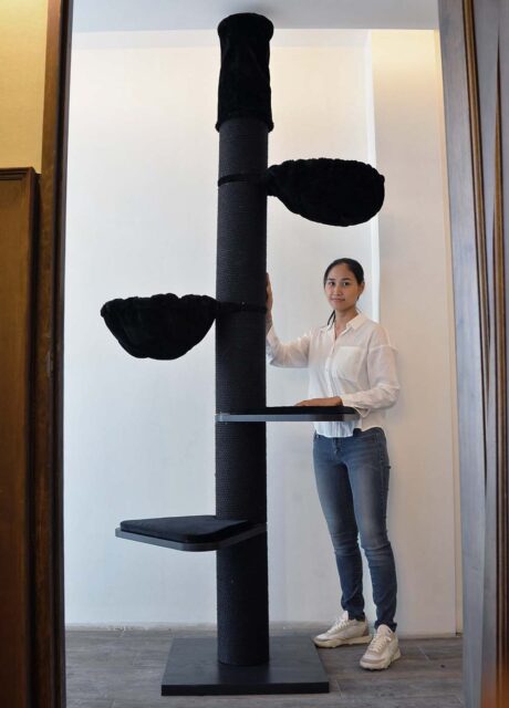 Maine Coon Cat Tree Tower BLACKLINE