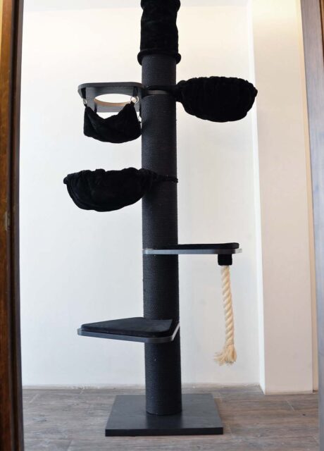 The MAINE COON TOWER CROWN (Blackline)