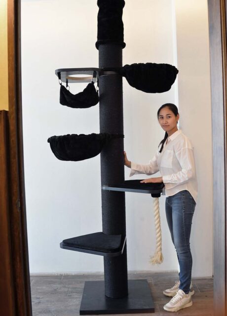 The MAINE COON TOWER CROWN (Blackline)