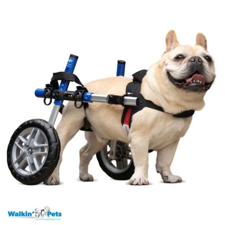 Walkin’ Wheels SMALL Dog Wheelchair