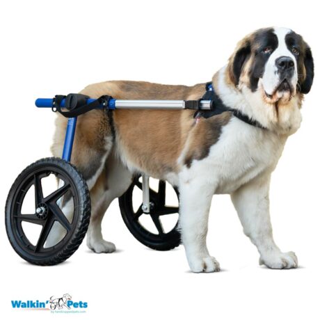 Walkin’ Wheels Large Dog Wheelchair