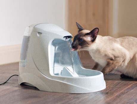 DrinkwellÂ® Platinum Pet Fountain – 5 litres