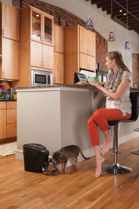 Petsafe® Healthy Pet Simply Feed™ Programmable Digital Pet Feeder