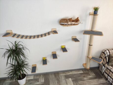 RSH – Cat Furniture Set BONY (Light)