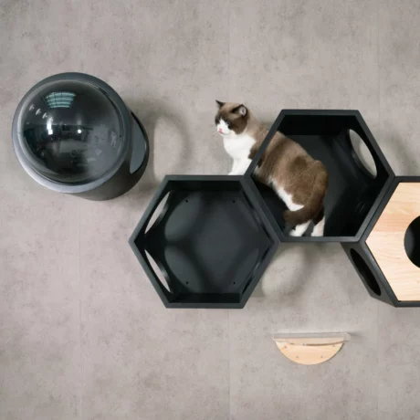 The Black Bundle Vertical Walkway