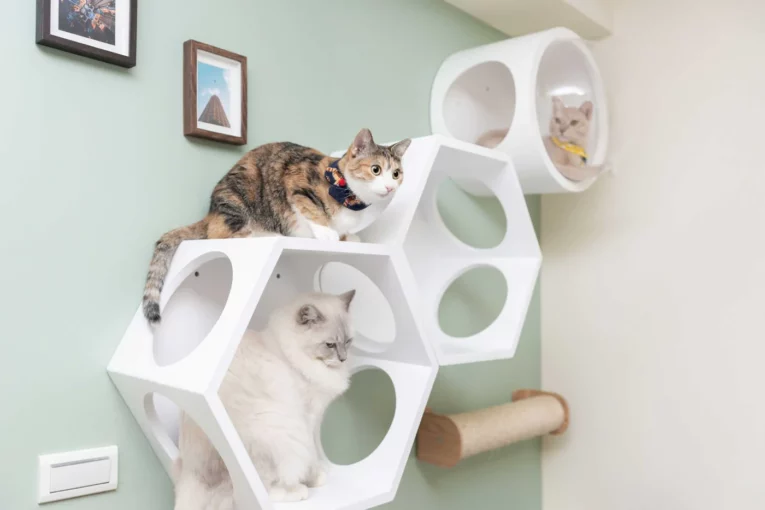 BUSYCAT Cat Shelf (White)