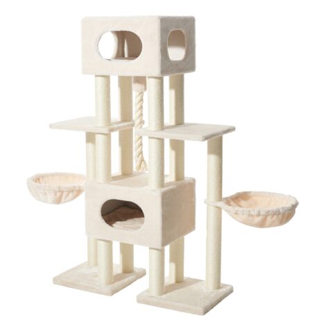 The Maine Coon XXL Usak