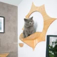 The SOLAR cat perch