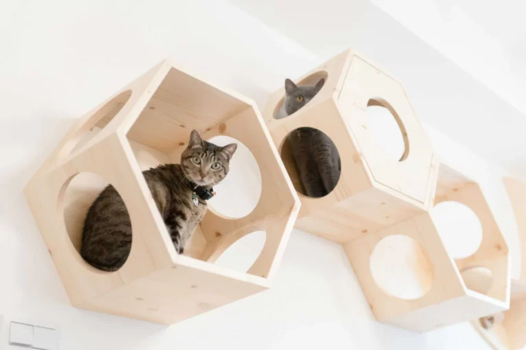 BUSYCAT Cat Shelf (Pine)