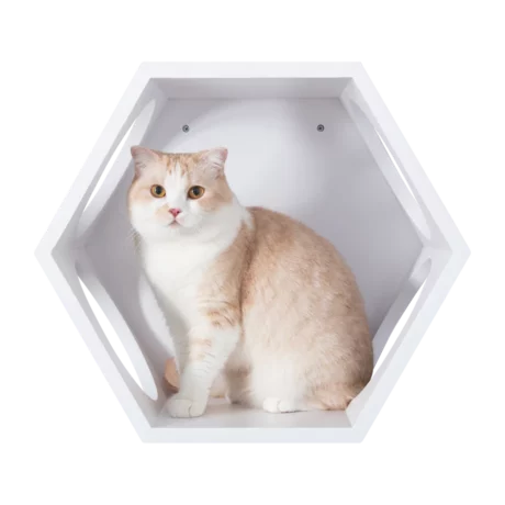 BUSYCAT Cat Shelf (White)