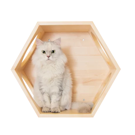 BUSYCAT Cat Shelf (Pine)