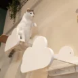Cloud Shaped Cat Perch (White)